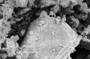 A magnified image of Silica before processing