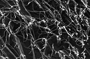 Magnification image of biomass cellulose after it has been processed