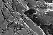 Biomass cellulose material before processing