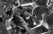 Graphite at 0.5 μm after wet get milling with Star Burst