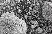 An image of metal oxide under magnification before being processed to a smaller particle size